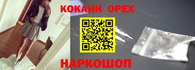 крисы Кулебаки