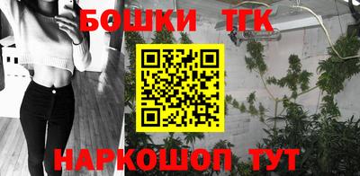 крисы Кулебаки