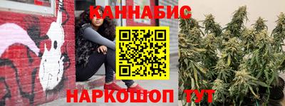 крисы Кулебаки