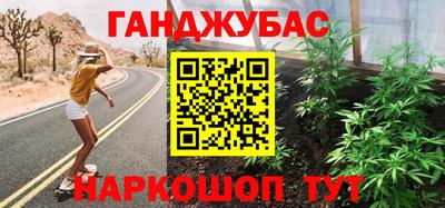 крисы Кулебаки