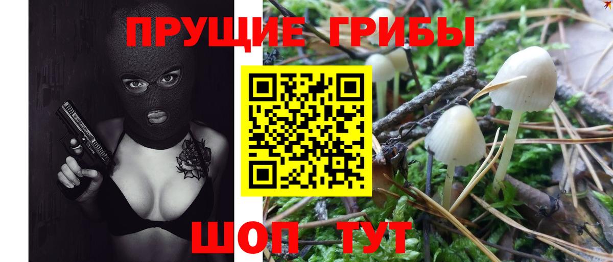 Галлюциногенные грибы Magic Shrooms Ейск